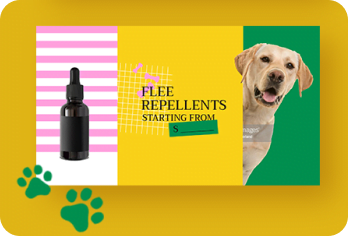 Digital Marketing Services for Essential Oils in London