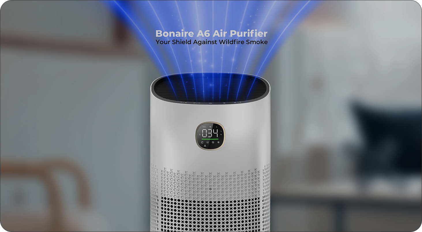 Bonaire Air Purifier