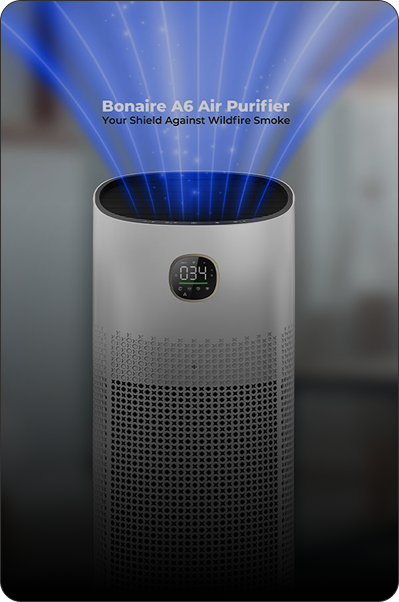 Bonaire Air Purifier
